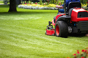 kertgondoz�s Balatonf�ldv�r